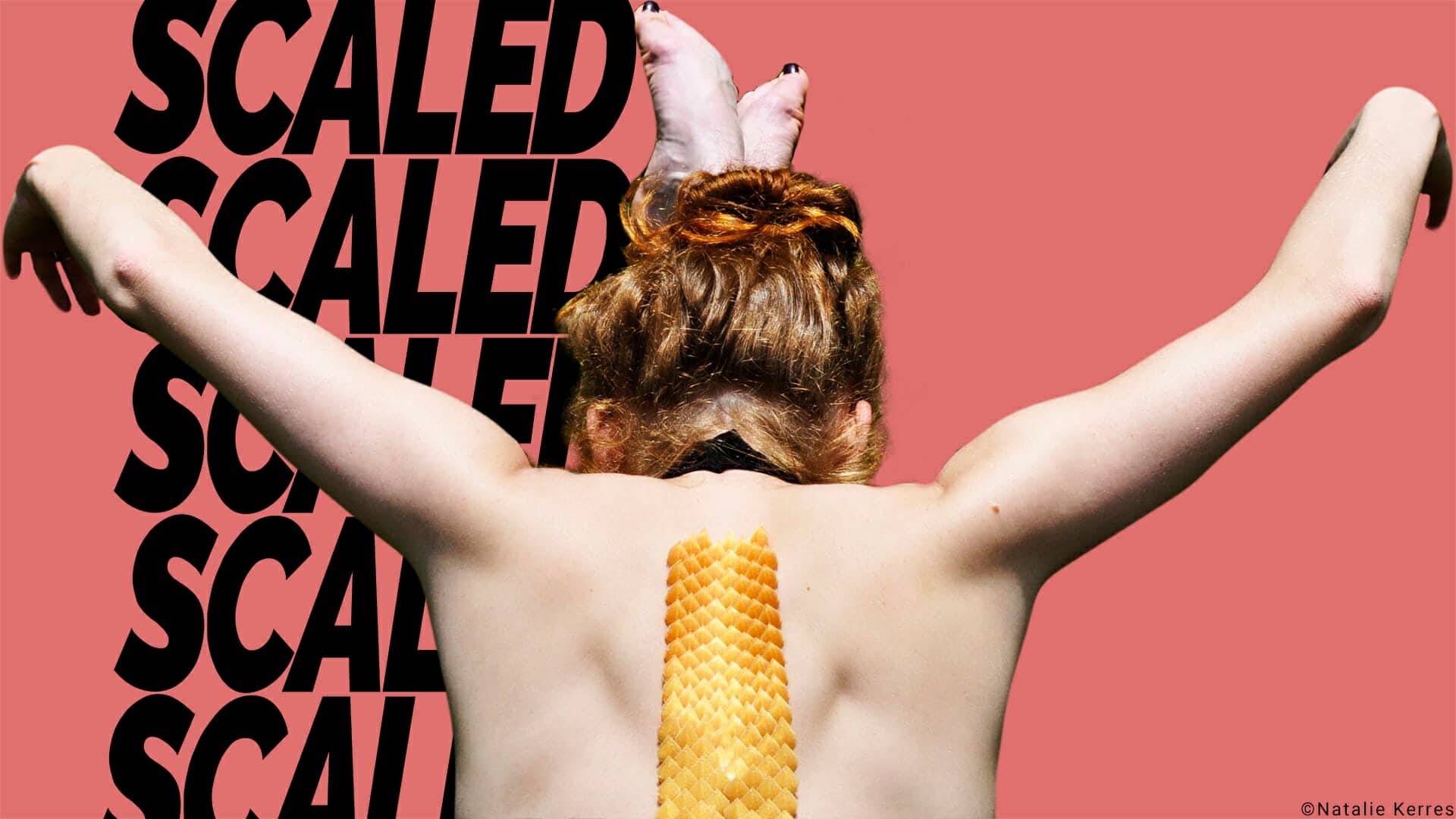 SCALED - Cover