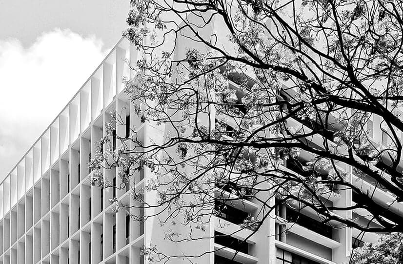 The University of Hong Kong