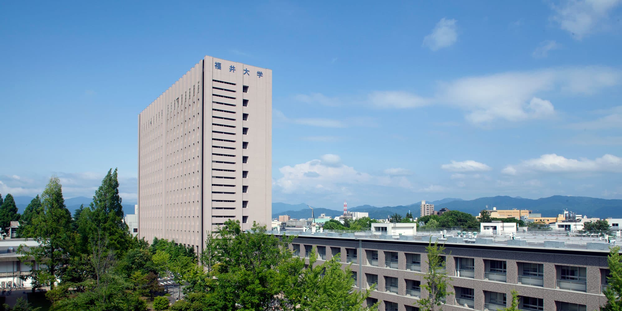 university of fukui