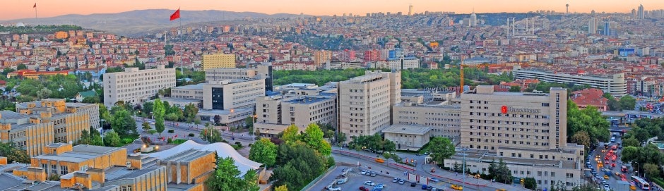 Hacettepe University