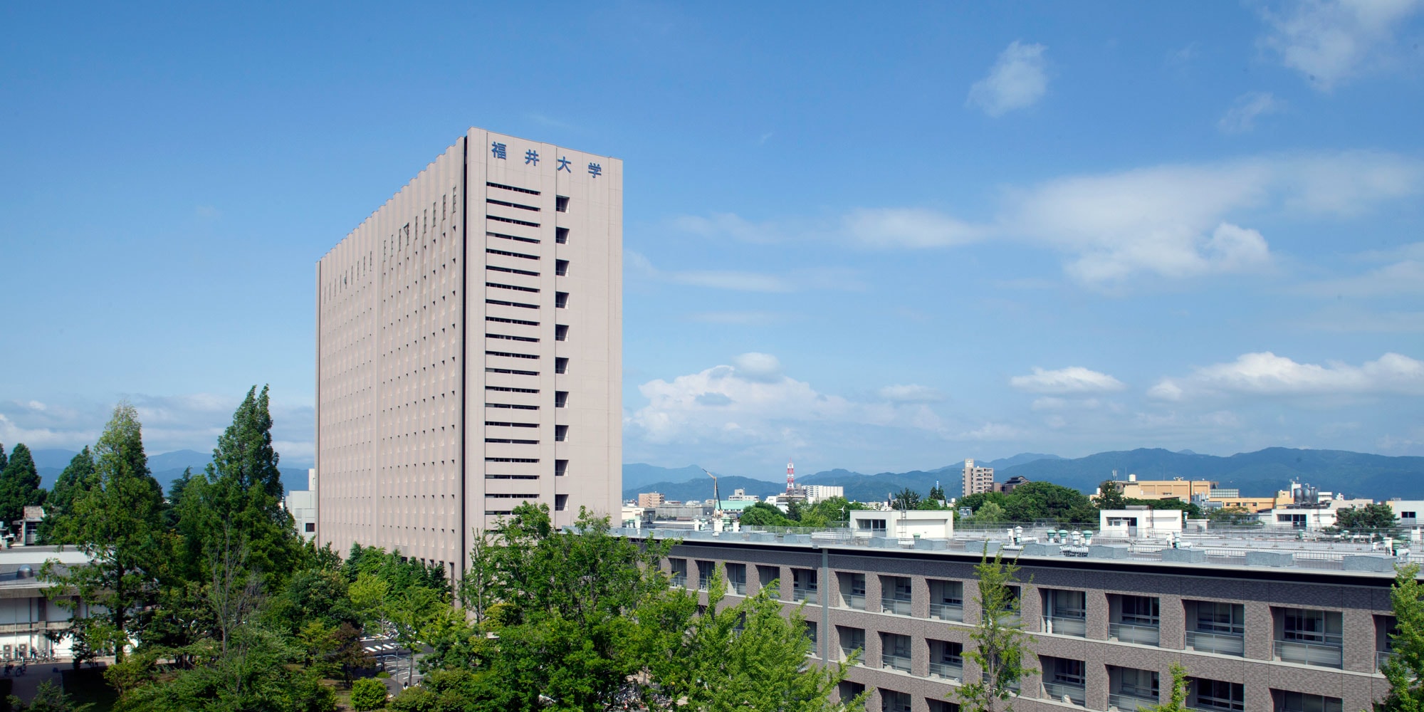 university of fukui