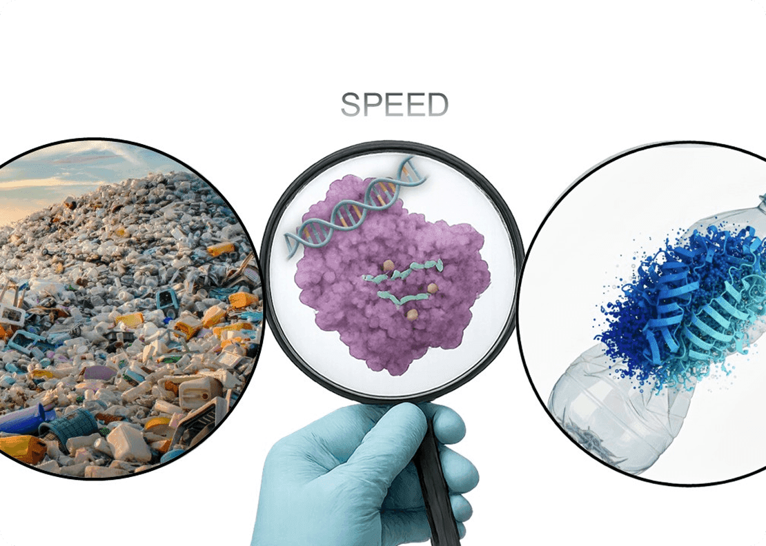 6686bebfd50c6b33055dc3a1_Rectangle 39897-p-500 1.png