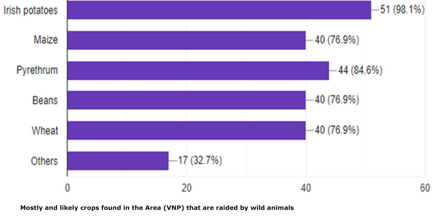 Automatic Wildlife Monitoring - Prototypes For Humanity