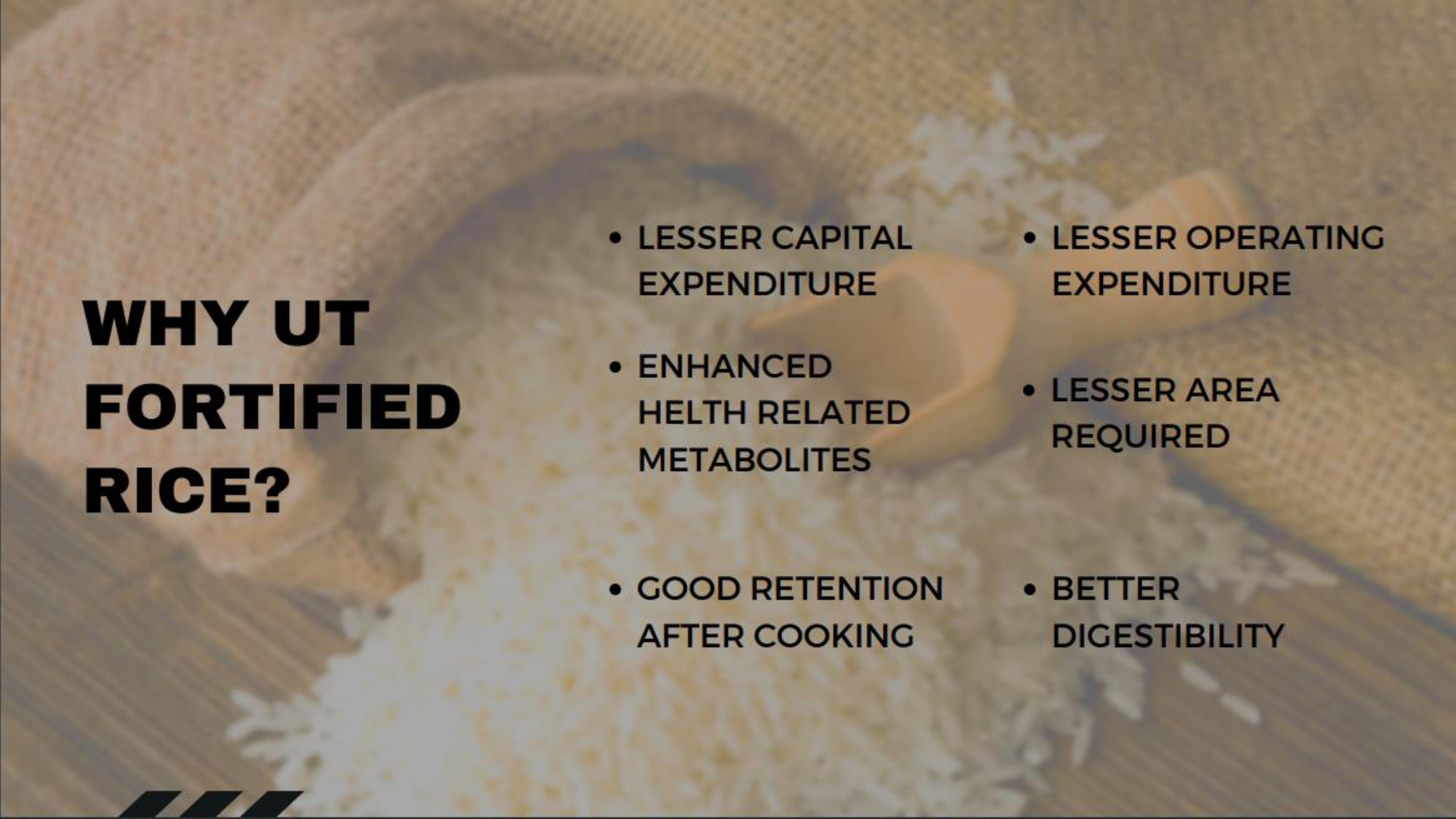 fortified rice essay in hindi